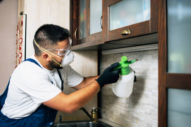 Best Rat Extermination Near Me  in Lincolnia, VA