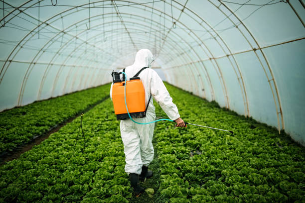 Best Pest Prevention Services  in Lincolnia, VA