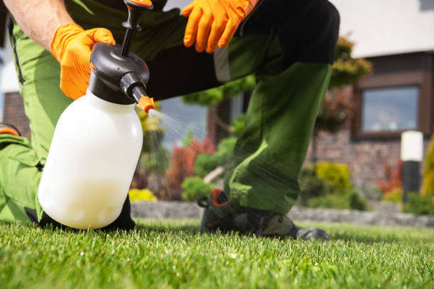 Best Best Pest Control Near Me  in Lincolnia, VA