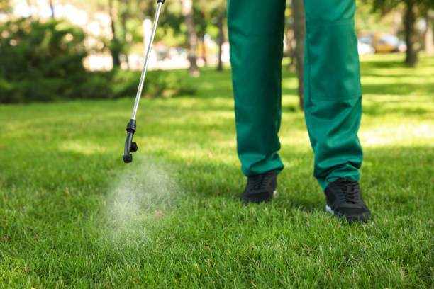Best Residential Pest Control  in Lincolnia, VA